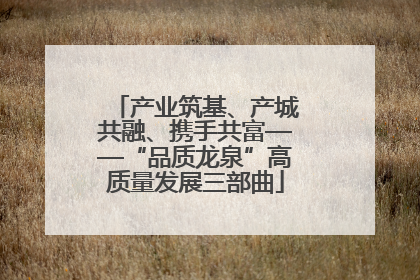 产业筑基、产城共融、携手共富——“品质龙泉”高质量发展三部曲