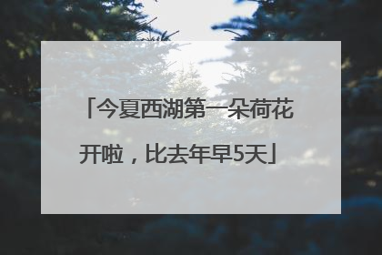 今夏西湖第一朵荷花开啦，比去年早5天