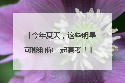 今年夏天，这些明星可能和你一起高考！