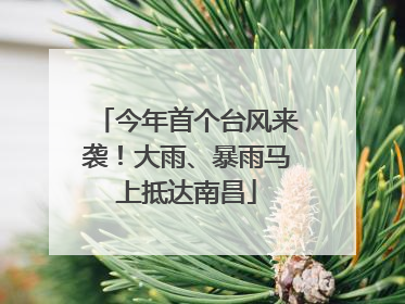 今年首个台风来袭！大雨、暴雨马上抵达南昌
