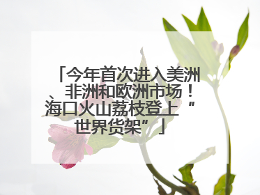 今年首次进入美洲、非洲和欧洲市场！海口火山荔枝登上“世界货架”