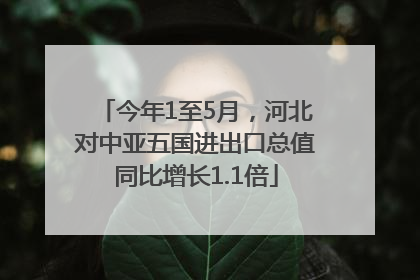 今年1至5月，河北对中亚五国进出口总值同比增长1.1倍