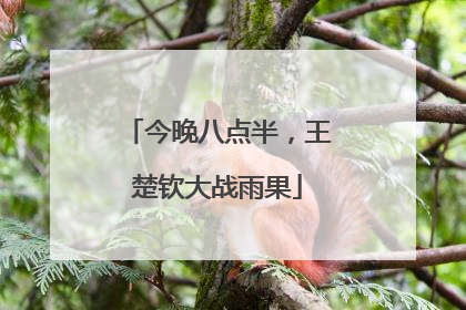今晚八点半，王楚钦大战雨果