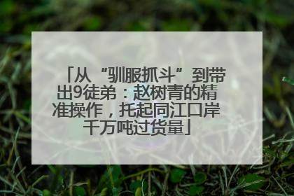 从“驯服抓斗”到带出9徒弟：赵树青的精准操作，托起同江口岸千万吨过货量