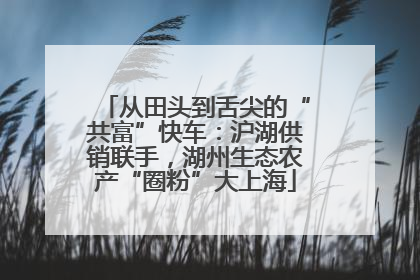 从田头到舌尖的“共富”快车：沪湖供销联手，湖州生态农产“圈粉”大上海