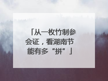 从一枚竹制参会证，看湖南节能有多“拼”