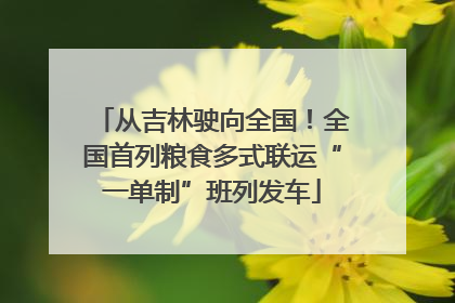 从吉林驶向全国！全国首列粮食多式联运“一单制”班列发车