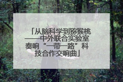 从脑科学到猕猴桃——中外联合实验室奏响“一带一路”科技合作交响曲