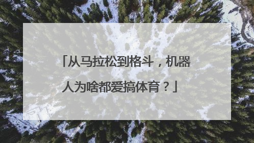 从马拉松到格斗，机器人为啥都爱搞体育？