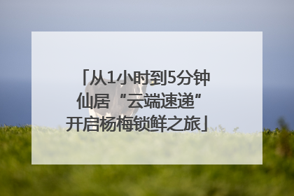 从1小时到5分钟 仙居“云端速递”开启杨梅锁鲜之旅
