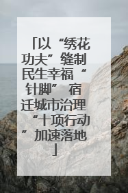 以“绣花功夫”缝制民生幸福“针脚” 宿迁城市治理“十项行动”加速落地