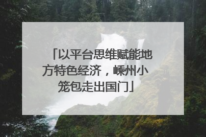以平台思维赋能地方特色经济，嵊州小笼包走出国门