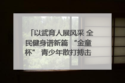 以武育人展风采 全民健身谱新篇 “金童杯” 青少年散打搏击邀请赛圆满落幕