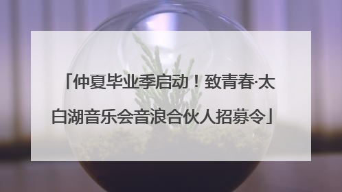 仲夏毕业季启动！致青春·太白湖音乐会音浪合伙人招募令