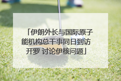 伊朗外长与国际原子能机构总干事同日到访开罗 讨论伊核问题