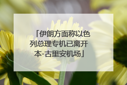 伊朗方面称以色列总理专机已离开本-古里安机场