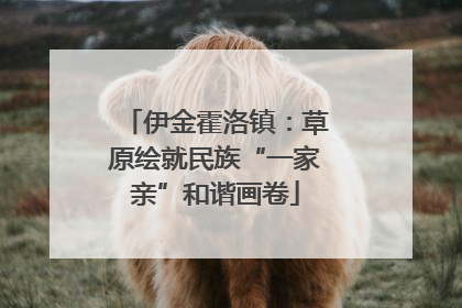 伊金霍洛镇：草原绘就民族“一家亲”和谐画卷