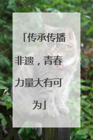 传承传播非遗，青春力量大有可为