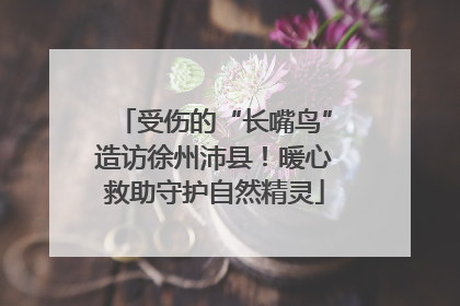 受伤的“长嘴鸟”造访徐州沛县！暖心救助守护自然精灵