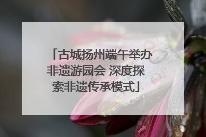 古城扬州端午举办非遗游园会 深度探索非遗传承模式
