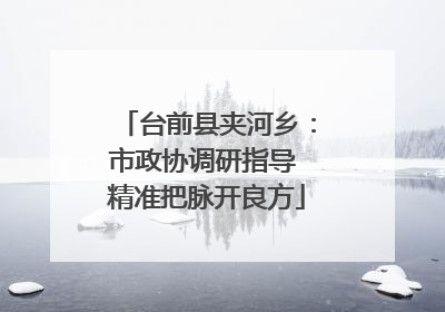 台前县夹河乡：市政协调研指导 精准把脉开良方