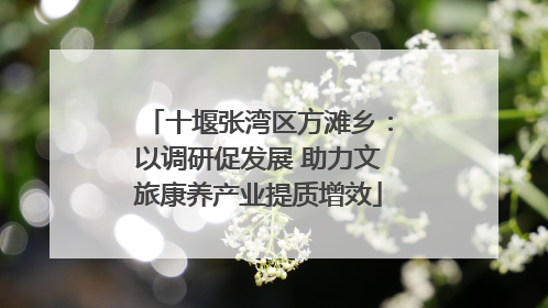 十堰张湾区方滩乡：以调研促发展 助力文旅康养产业提质增效