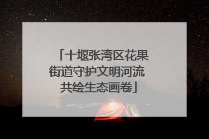 十堰张湾区花果街道守护文明河流 共绘生态画卷