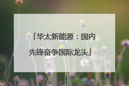 华太新能源：国内先锋奋争国际龙头