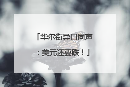 华尔街异口同声：美元还要跌！