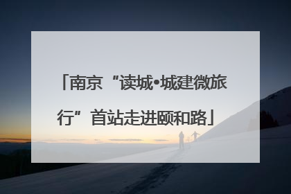 南京“读城•城建微旅行”首站走进颐和路