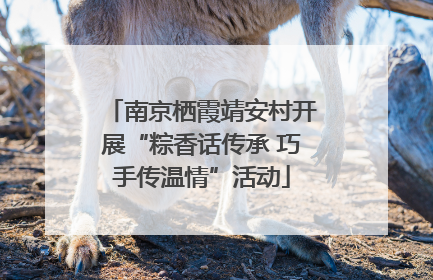 南京栖霞靖安村开展“粽香话传承 巧手传温情”活动