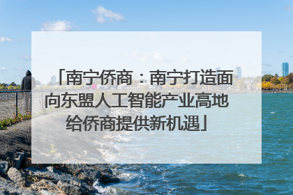 南宁侨商：南宁打造面向东盟人工智能产业高地给侨商提供新机遇