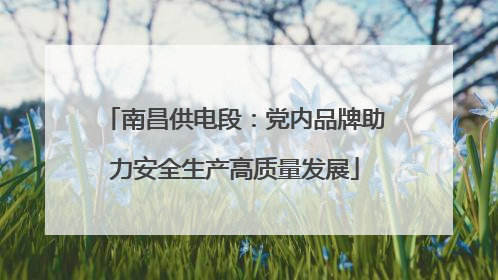 南昌供电段：党内品牌助力安全生产高质量发展