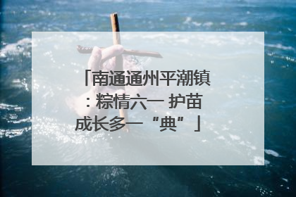 南通通州平潮镇：粽情六一 护苗成长多一“典”