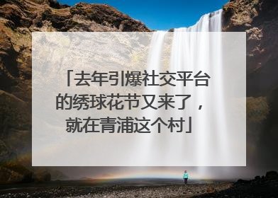 去年引爆社交平台的绣球花节又来了，就在青浦这个村