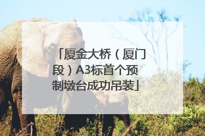 厦金大桥（厦门段）A3标首个预制墩台成功吊装