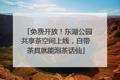 免费开放！东湖公园共享茶空间上线，自带茶具就能泡茶话仙