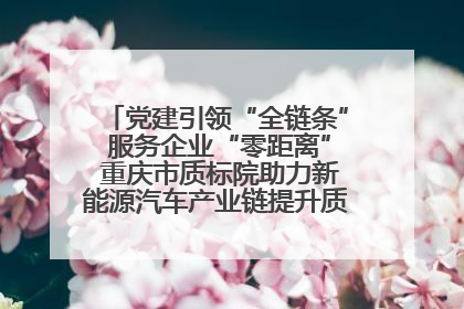 党建引领“全链条” 服务企业“零距离” 重庆市质标院助力新能源汽车产业链提升质量管理水平
