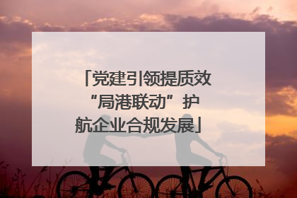 党建引领提质效 “局港联动”护航企业合规发展
