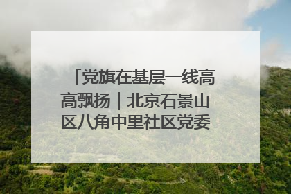 党旗在基层一线高高飘扬｜北京石景山区八角中里社区党委：用脚步丈量民生