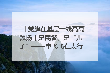 党旗在基层一线高高飘扬｜是民警、是“儿子”——申飞飞在太行山中的一线坚守