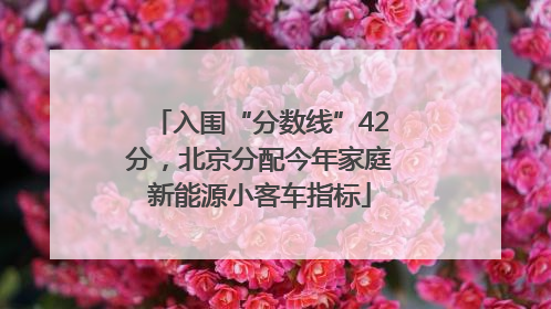 入围“分数线”42分，北京分配今年家庭新能源小客车指标