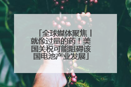 全球媒体聚焦丨就像过量的药！美国关税可能阻碍该国电池产业发展