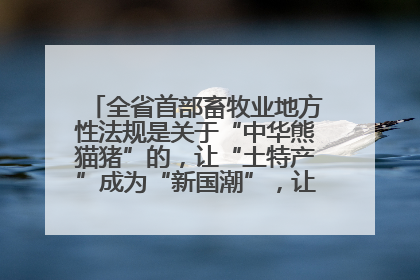 全省首部畜牧业地方性法规是关于“中华熊猫猪”的，让“土特产”成为“新国潮”，让“农产品”升格为“城市IP”