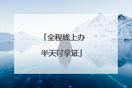 全程线上办 半天可拿证