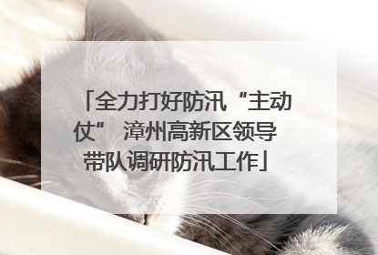 全力打好防汛“主动仗” 漳州高新区领导带队调研防汛工作