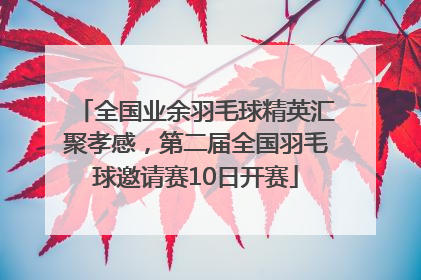 全国业余羽毛球精英汇聚孝感，第二届全国羽毛球邀请赛10日开赛