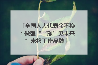 全国人大代表金不换：做强“‘豫’见未来”未检工作品牌