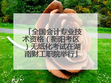 全国会计专业技术资格（衡阳考区）无纸化考试在湖南财工职院举行