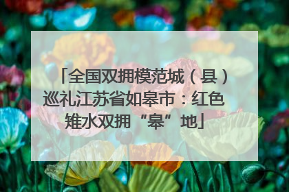 全国双拥模范城（县）巡礼江苏省如皋市：红色雉水双拥“皋”地